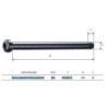 Perno Passante Bolt Posteriore 165mm