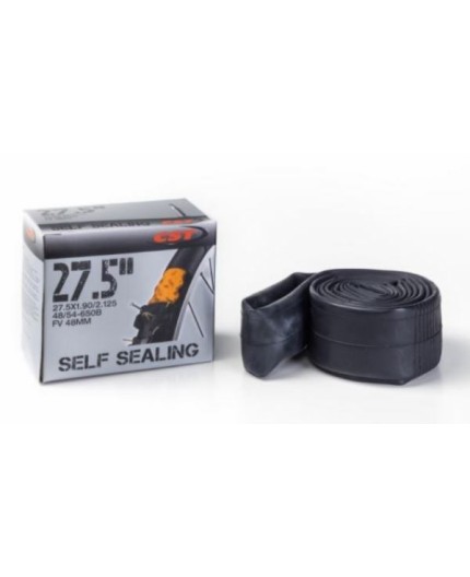 Cst 27.5 X1.90/2.125 Antiforo 48mm